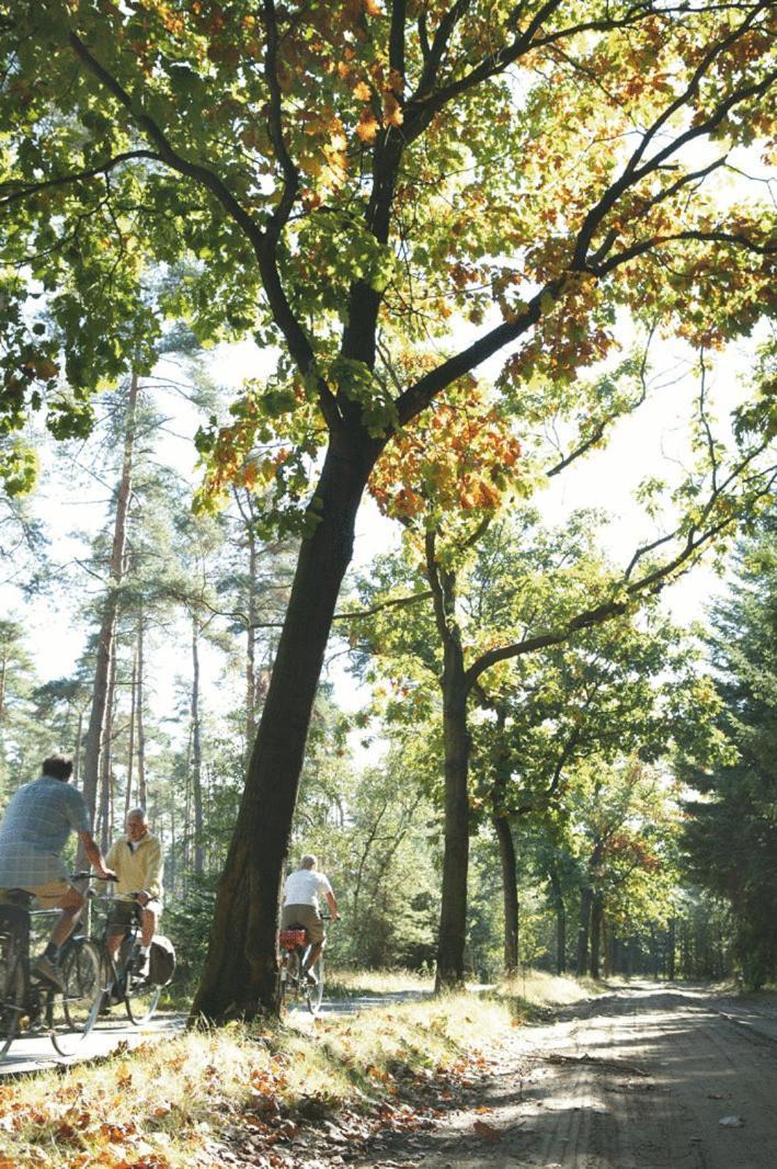 Hostel Harba Lorifa Valkenswaard Zewnętrze zdjęcie